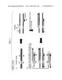 Nucleic Acid Amplification Method diagram and image