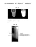 Nucleic Acid Amplification Method diagram and image