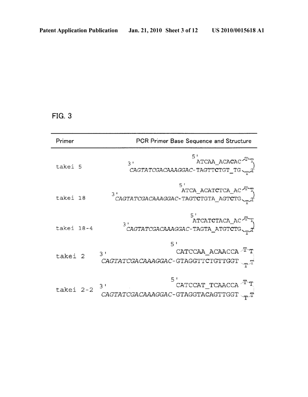 DNA FRAGMENT USED AS ATTACHED TO 5' END OF PRIMER USED IN NUCLEIC ACID AMPLIFICATION REACTION AND USE OF DNA FRAGMENT - diagram, schematic, and image 04