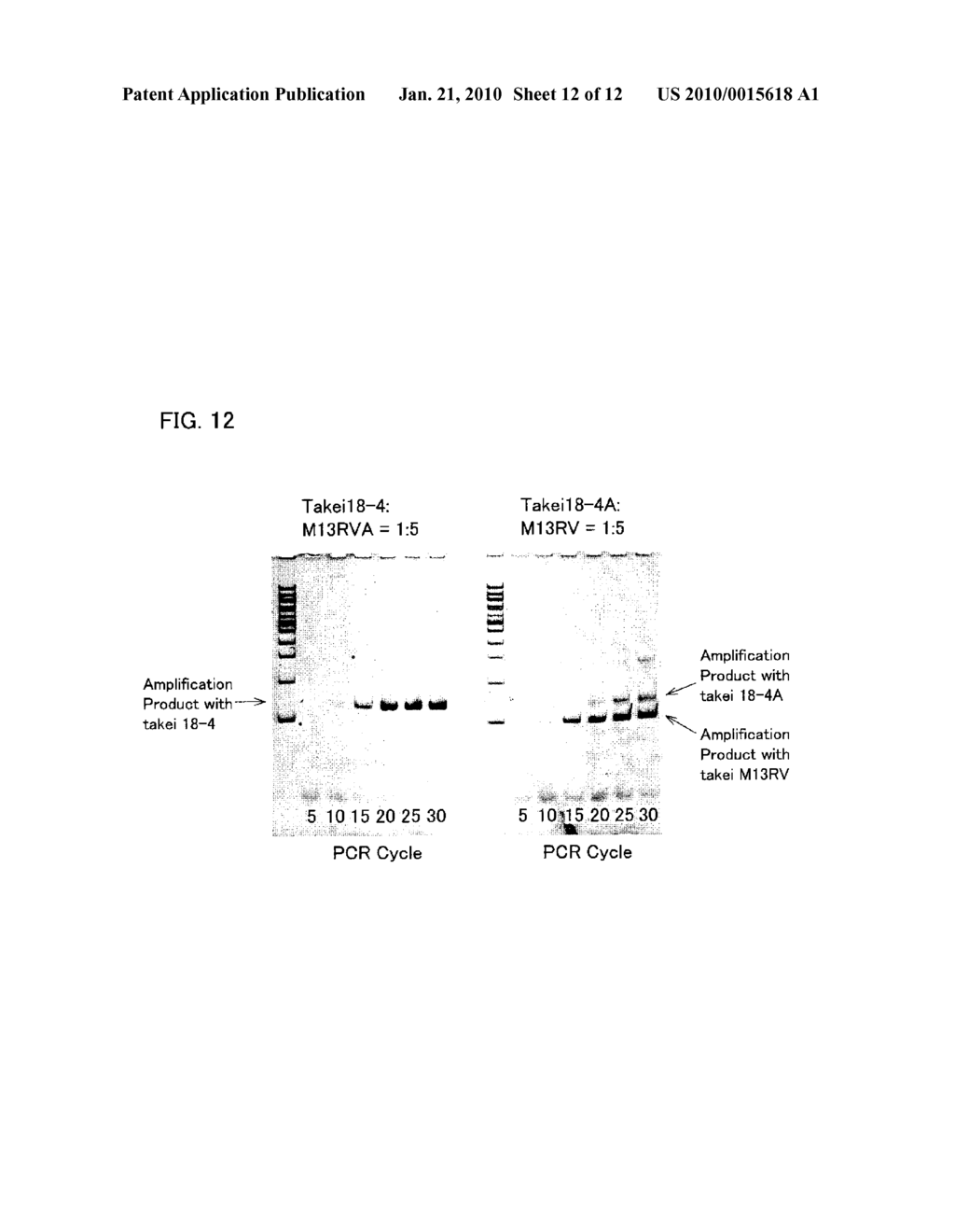 DNA FRAGMENT USED AS ATTACHED TO 5' END OF PRIMER USED IN NUCLEIC ACID AMPLIFICATION REACTION AND USE OF DNA FRAGMENT - diagram, schematic, and image 13