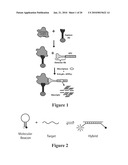 MOLECULAR BEACON-BASED METHODS FOR DETECTION OF TARGETS USING ABSCRIPTION diagram and image