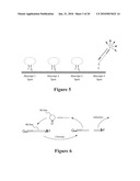 MOLECULAR BEACON-BASED METHODS FOR DETECTION OF TARGETS USING ABSCRIPTION diagram and image