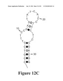 MOLECULAR BEACON-BASED METHODS FOR DETECTION OF TARGETS USING ABSCRIPTION diagram and image