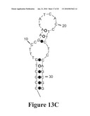 MOLECULAR BEACON-BASED METHODS FOR DETECTION OF TARGETS USING ABSCRIPTION diagram and image