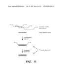 MULTIPLEX NUCLEIC ACID REACTIONS diagram and image