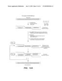 MULTIPLEX NUCLEIC ACID REACTIONS diagram and image