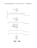 MULTIPLEX NUCLEIC ACID REACTIONS diagram and image