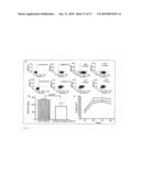 Methods and Kits to Detect and Monitor Ovarian Cancer and Preeclampsia diagram and image