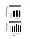 Predicting Heart Failure Following Myocardial Infarction by Protease and Protease Inhibitor Profiling diagram and image