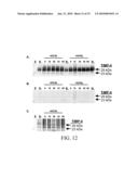 Predicting Heart Failure Following Myocardial Infarction by Protease and Protease Inhibitor Profiling diagram and image