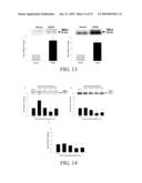 Predicting Heart Failure Following Myocardial Infarction by Protease and Protease Inhibitor Profiling diagram and image