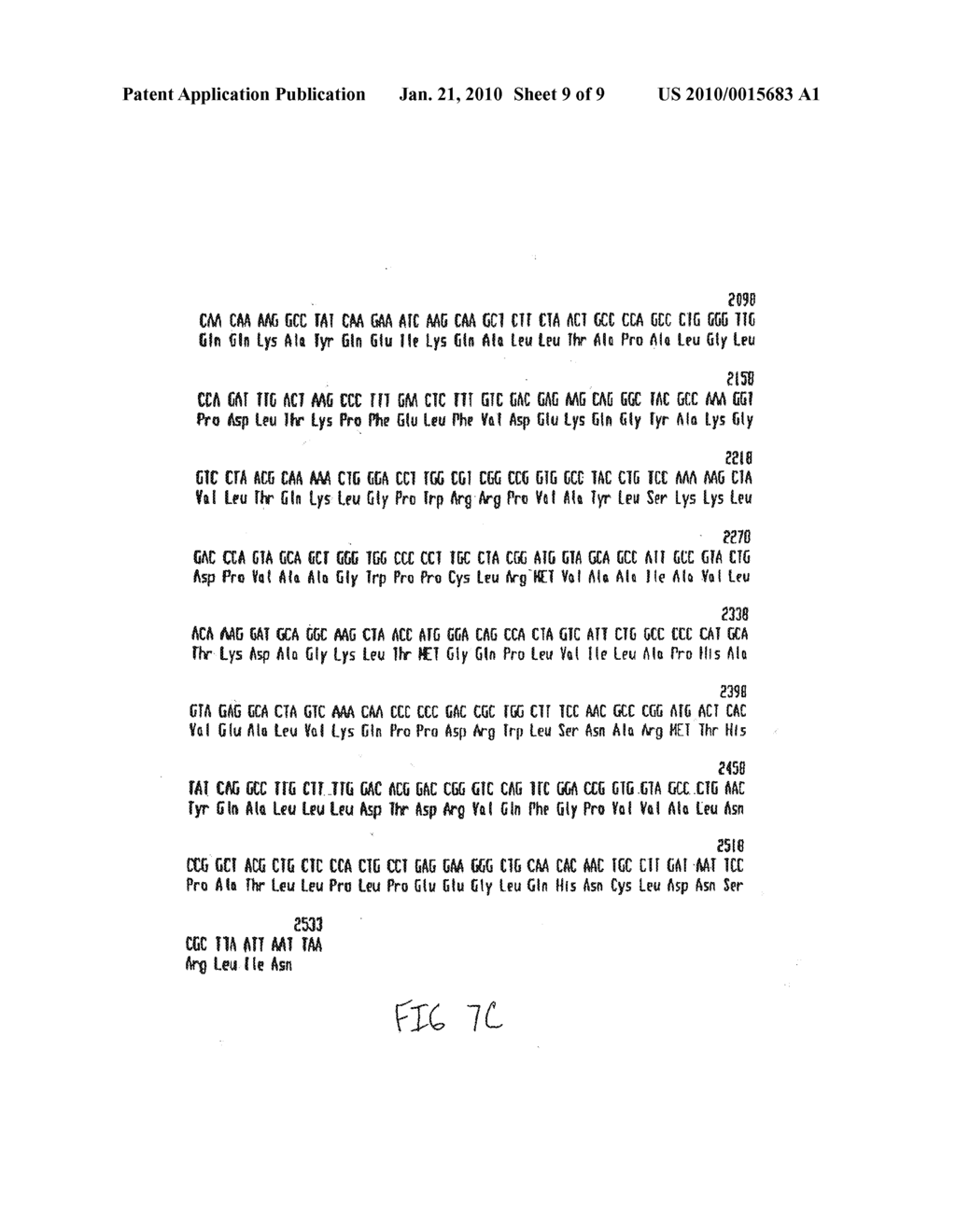 THERMOSTABLE REVERSE TRANSCRIPTASES AND USES THEREOF - diagram, schematic, and image 10