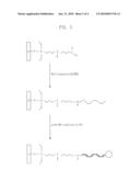 SUBSTRATE FOR ANALYZING COVERAGE OF SELF-ASSEMBLED MOLECULES AND ANALYZING METHOD USING THE SAME diagram and image