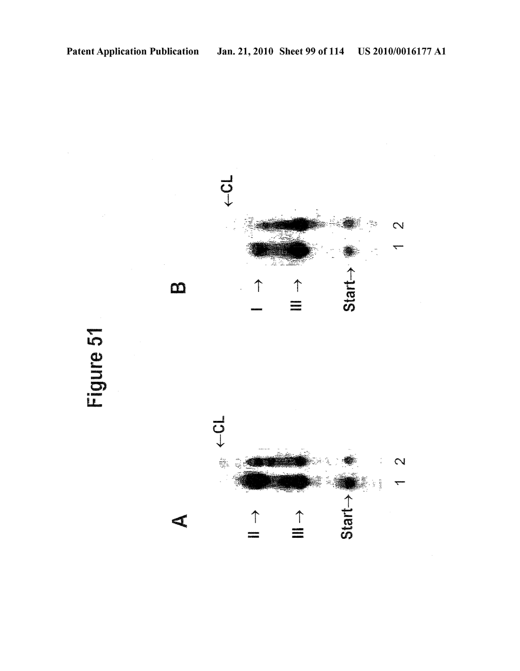 TEMPLATED MOLECULES AND METHODS FOR USING SUCH MOLECULES - diagram, schematic, and image 100