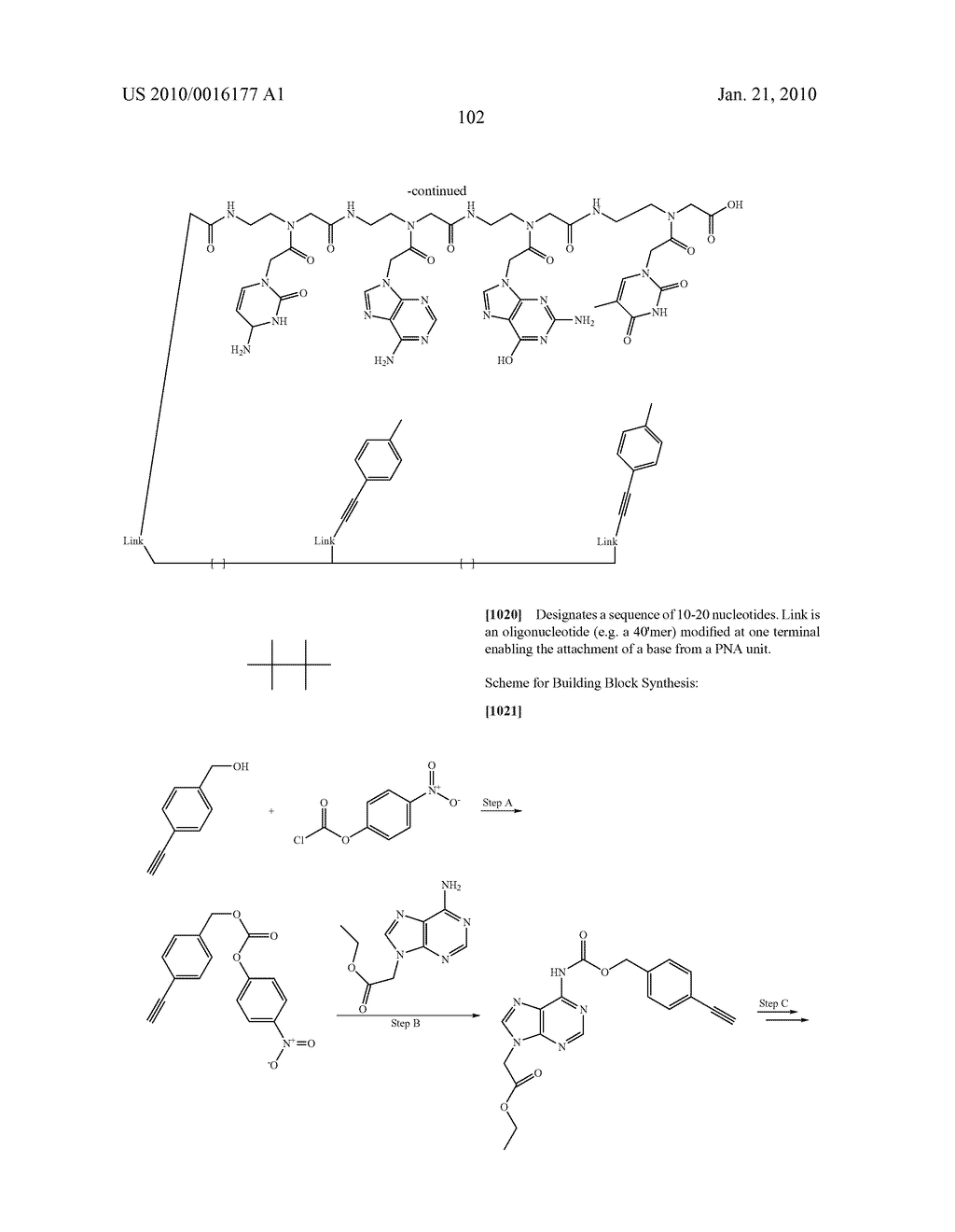 TEMPLATED MOLECULES AND METHODS FOR USING SUCH MOLECULES - diagram, schematic, and image 217