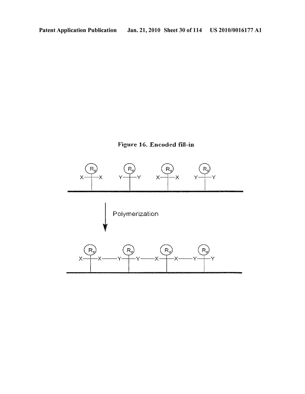 TEMPLATED MOLECULES AND METHODS FOR USING SUCH MOLECULES - diagram, schematic, and image 31