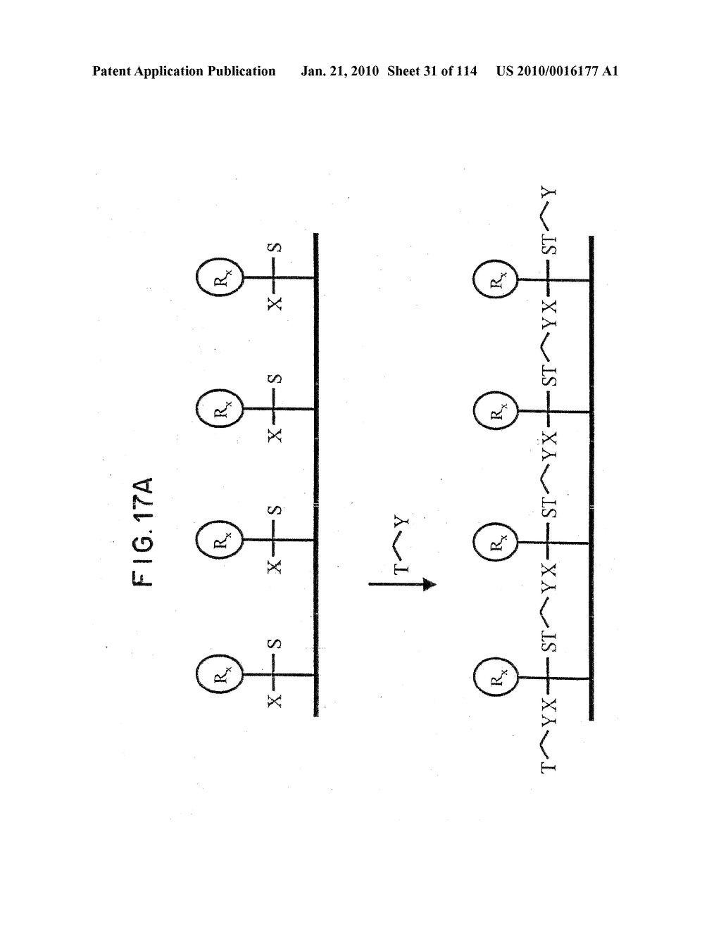 TEMPLATED MOLECULES AND METHODS FOR USING SUCH MOLECULES - diagram, schematic, and image 32