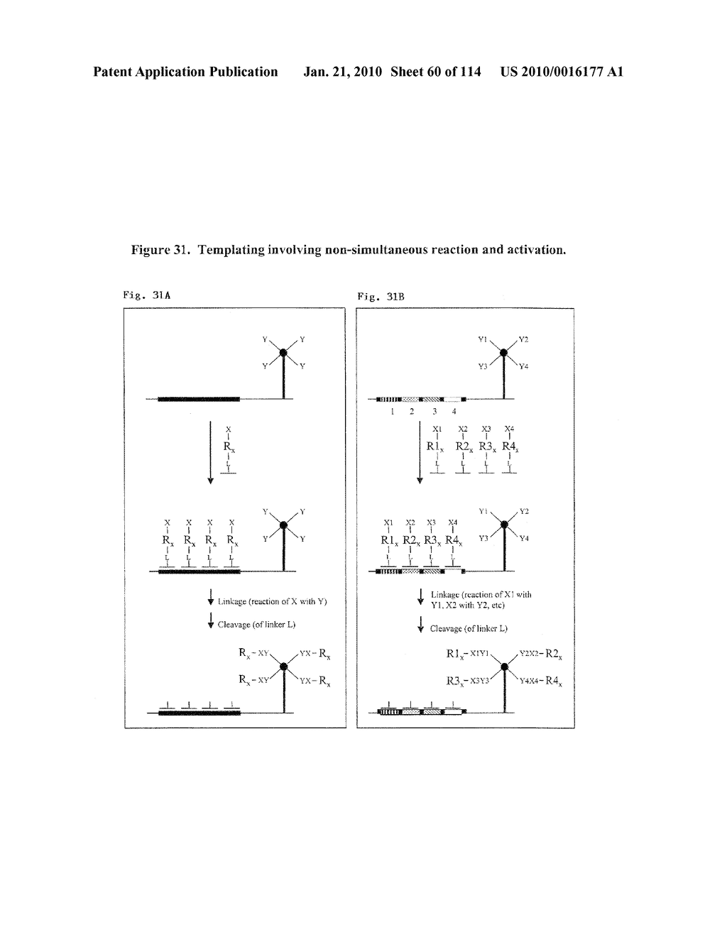 TEMPLATED MOLECULES AND METHODS FOR USING SUCH MOLECULES - diagram, schematic, and image 61