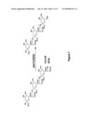 DERIVATISATION OF GRANULOCYTE COLONY-STIMULATING FACTOR diagram and image