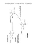 DERIVATISATION OF GRANULOCYTE COLONY-STIMULATING FACTOR diagram and image