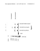 DERIVATISATION OF GRANULOCYTE COLONY-STIMULATING FACTOR diagram and image