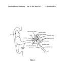 CONTROLLED-RELEASE APOPTOSIS MODULATING COMPOSITIONS AND METHODS FOR THE TREATMENT OF OTIC DISORDERS diagram and image