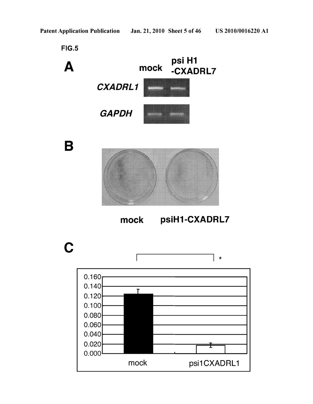 GENES AND POLYPEPTIDES RELATING TO HUMAN COLON CANCERS - diagram, schematic, and image 06