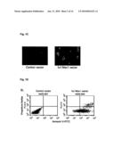 NOVEL AGENT FOR INDUCING APOPTOSIS COMPRISING MSX1 OR A GENE ENCODING THE SAME AS AN ACTIVE INGREDIENT diagram and image