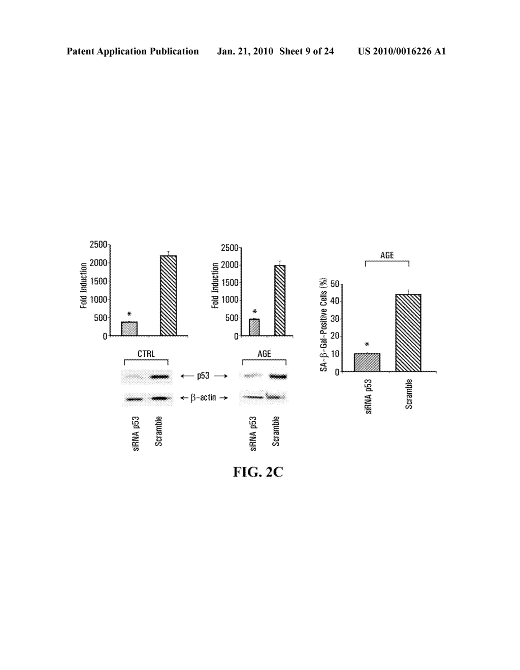 UNACYLATED GHRELIN AND ANALOGS AS THERAPEUTIC AGENTS FOR VASCULAR REMODELING IN DIABETIC PATIENTS AND TREATMENT OF CARDIOVASCULAR DISEASE - diagram, schematic, and image 10