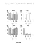 UNACYLATED GHRELIN AND ANALOGS AS THERAPEUTIC AGENTS FOR VASCULAR REMODELING IN DIABETIC PATIENTS AND TREATMENT OF CARDIOVASCULAR DISEASE diagram and image