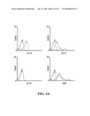 UNACYLATED GHRELIN AND ANALOGS AS THERAPEUTIC AGENTS FOR VASCULAR REMODELING IN DIABETIC PATIENTS AND TREATMENT OF CARDIOVASCULAR DISEASE diagram and image