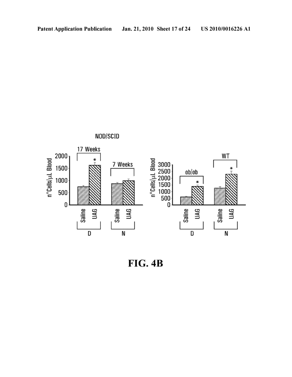 UNACYLATED GHRELIN AND ANALOGS AS THERAPEUTIC AGENTS FOR VASCULAR REMODELING IN DIABETIC PATIENTS AND TREATMENT OF CARDIOVASCULAR DISEASE - diagram, schematic, and image 18