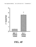 UNACYLATED GHRELIN AND ANALOGS AS THERAPEUTIC AGENTS FOR VASCULAR REMODELING IN DIABETIC PATIENTS AND TREATMENT OF CARDIOVASCULAR DISEASE diagram and image