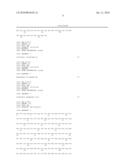 TRUNCATED BARD1 PROTEIN, AND ITS DIAGNOSTIC AND THERAPEUTIC USES diagram and image