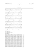 TRUNCATED BARD1 PROTEIN, AND ITS DIAGNOSTIC AND THERAPEUTIC USES diagram and image