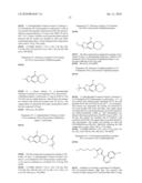 COMPOUNDS HAVING AFFINITY FOR DOPAMINE D3 RECEPTOR AND USES THEREOF  diagram and image