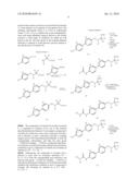 Preparation and Use of Biphenyl Amino Acid Derivatives for the Treatment of Obesity diagram and image