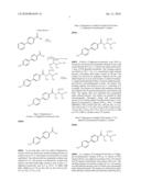 Preparation and Use of Biphenyl Amino Acid Derivatives for the Treatment of Obesity diagram and image