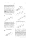 Preparation and Use of Biphenyl Amino Acid Derivatives for the Treatment of Obesity diagram and image