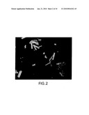 SOLID FORMS COMPRISING 3-(2,5-DIMETHYL-4-OXO-4H-QUINAZOLIN-3-YL)-PIPERIDINE-2,6-DIONE, COMPOSITIONS COMPRISING THE SAME, AND METHODS OF USING THE SAME diagram and image