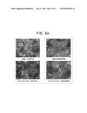 METHODS FOR CONTROLLING SR PROTEIN PHOSPHORYLATION, AND ANTIVIRAL AGENTS WHOSE ACTIVE INGREDIENTS COMPRISE AGENTS THAT CONTROL SR PROTEIN ACTIVITY diagram and image