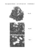 STRUCTURAL-BASED INHIBITORS OF THE GLUTATHIONE BINDING SITE IN ALDOSE REDUCTASE, METHODS OF SCREENING THEREFOR AND METHODS OF USE diagram and image