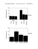 STRUCTURAL-BASED INHIBITORS OF THE GLUTATHIONE BINDING SITE IN ALDOSE REDUCTASE, METHODS OF SCREENING THEREFOR AND METHODS OF USE diagram and image