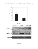 STRUCTURAL-BASED INHIBITORS OF THE GLUTATHIONE BINDING SITE IN ALDOSE REDUCTASE, METHODS OF SCREENING THEREFOR AND METHODS OF USE diagram and image