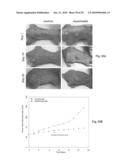 STRUCTURAL-BASED INHIBITORS OF THE GLUTATHIONE BINDING SITE IN ALDOSE REDUCTASE, METHODS OF SCREENING THEREFOR AND METHODS OF USE diagram and image