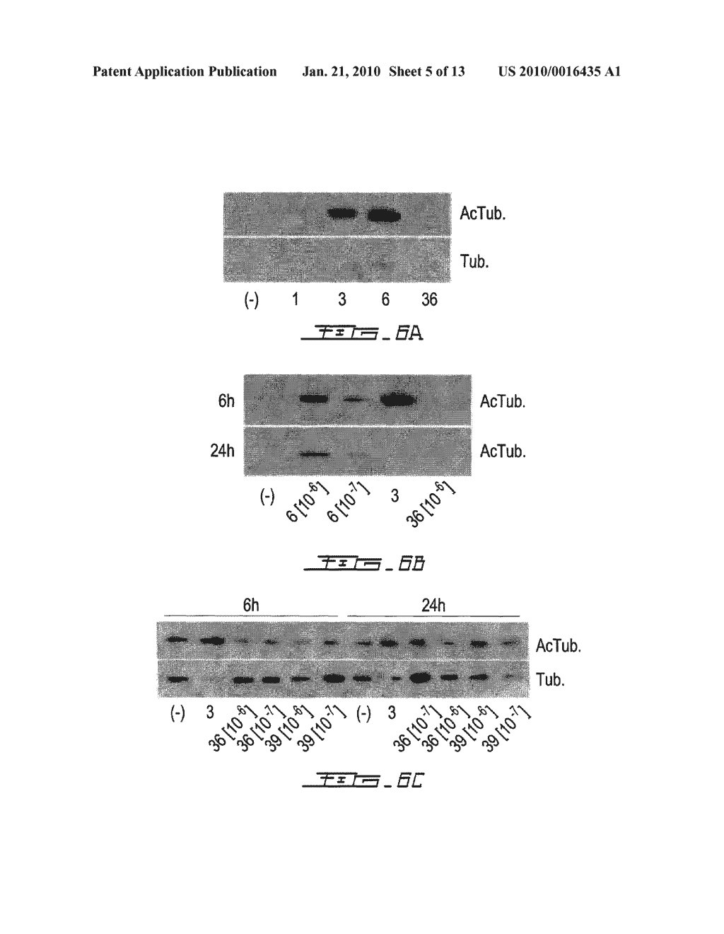 HYBRID MOLECULES HAVING MIXED VITAMIN D RECEPTOR AGONISM AND HISTONE DEACETYLASE INHIBITORY PROPERTIES - diagram, schematic, and image 06