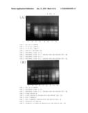 PEPTIDE HAVING ABILITY TO ACTIVATE CANCER-RELATED GENE diagram and image