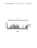 siRNA targeting cyclin-dependent kinase inhibitor 1B (p27, Kip1) (CDKN1B) diagram and image