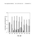 siRNA targeting cyclin-dependent kinase inhibitor 1B (p27, Kip1) (CDKN1B) diagram and image