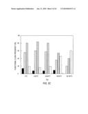 siRNA targeting cyclin-dependent kinase inhibitor 1B (p27, Kip1) (CDKN1B) diagram and image